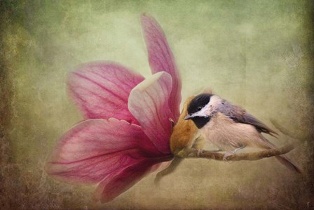 Welcome Spring by Jai Johnson art print