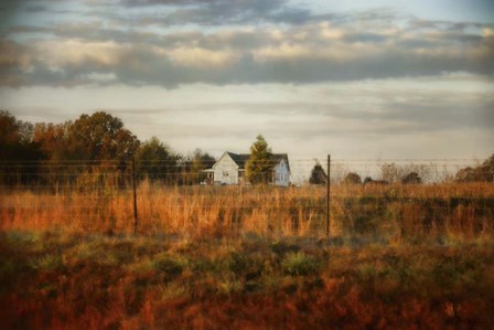 Breakfast At The Farm House by Jai Johnson art print