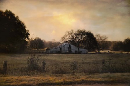 Country Heirloom by Jai Johnson art print