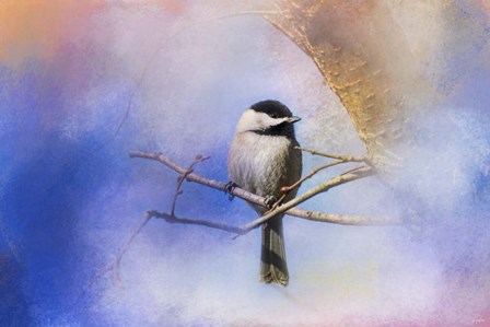 Winter Morning Chickadee by Jai Johnson art print