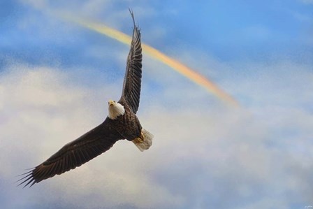 When My Wings Touch The Rainbow by Jai Johnson art print