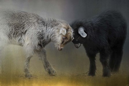 Meeting Of The Minds by Jai Johnson art print