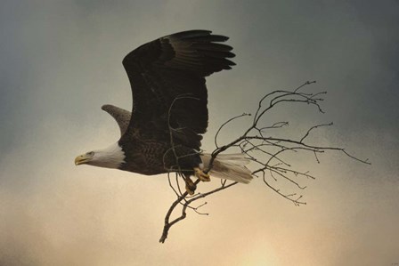 Stick Delivery by Jai Johnson art print