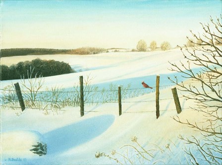 Winter Wonderland by Kevin Dodds art print