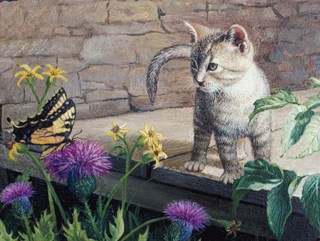 Kitten &amp; Butterfly by Kevin Dodds art print