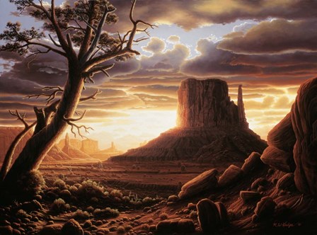 The Southwest Sun by R.W. Hedge art print
