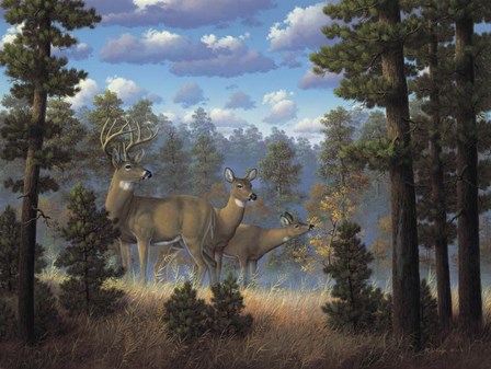White Tail Family by R.W. Hedge art print