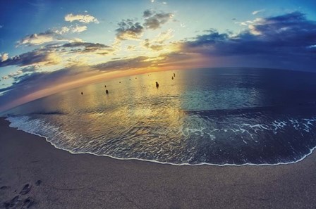 Cypress Sunrise III by Sebastien Lory art print