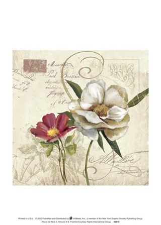 Fleurs De Paris 2 art print