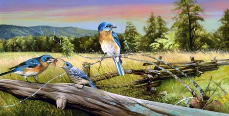 Bluebird Meadow by Spencer Williams art print