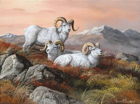 Denali Trio by Trevor V. Swanson art print