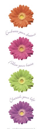Gerbera Daisies by Anthony Matos art print