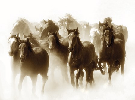 Windstorm by Tony Stromberg art print