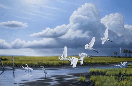 Summer Storm Egrets by Wilhelm J. Goebel art print