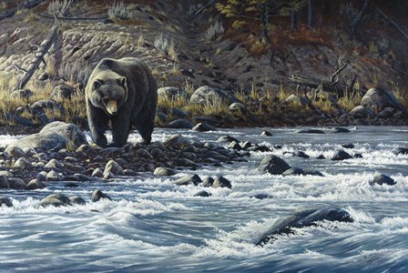 Along The Yellowstone - Grizzly by Wilhelm J. Goebel art print