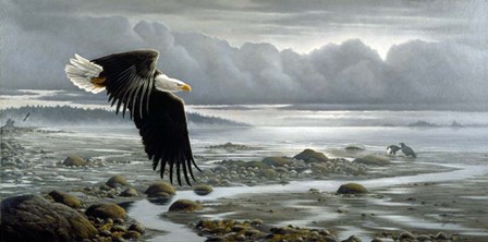 Lowtide - Bald Eagle by Wilhelm J. Goebel art print