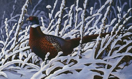 Fresh Snow - Ringneck Pheasant by Wilhelm J. Goebel art print