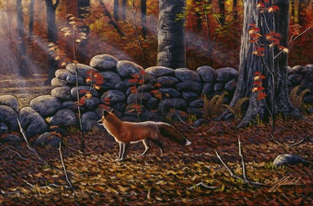Autumn Reds - Red Fox by Wilhelm J. Goebel art print