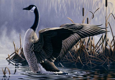 1992 Canada Goose by Wilhelm J. Goebel art print