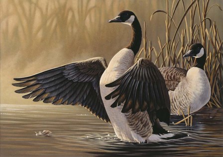 1994 Canada Geese by Wilhelm J. Goebel art print