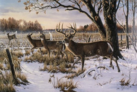 Cautious Crossing - Whitetails by Wilhelm J. Goebel art print