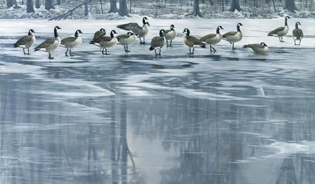 Midwinter Thaw by Wilhelm J. Goebel art print