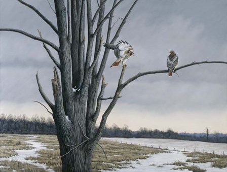 Old Elm &amp; Redtails by Wilhelm J. Goebel art print