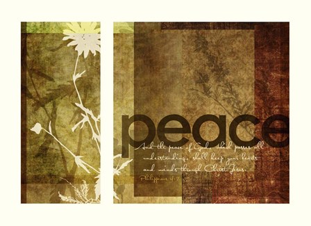 Peace by Dallas Drotz art print