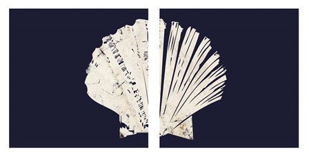 Contemporary Coastal Shell Set by Dallas Drotz art print
