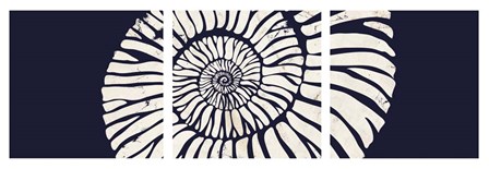Contemporary Coastal Triptych 2 by Dallas Drotz art print