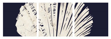Contemporary Coastal Triptych 3 by Dallas Drotz art print
