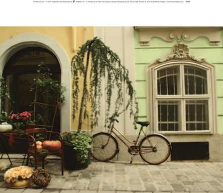 Vienna Ride art print