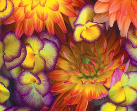 Spring art print