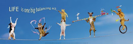 High Wire Menagerie art print