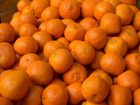 Oranges for Sale, Fes, Morocco by Panoramic Images art print
