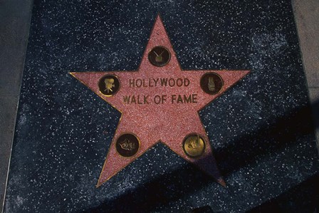 Hollywood Walk of Fame Star, Los Angeles, CA by Panoramic Images art print