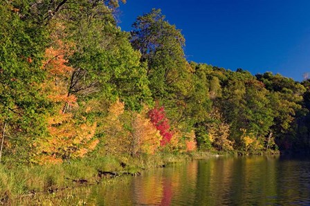 Pillsbury State Forest, Minnesota by Panoramic Images art print