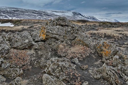 Godafoss Waterfalls, Iceland by Panoramic Images art print