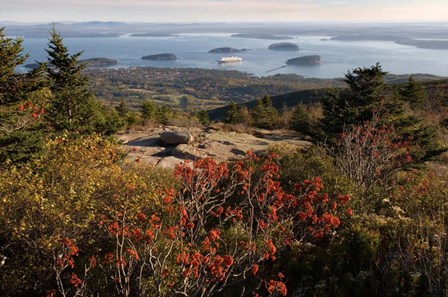 Ferry, Bar Harbor, Porcupine Island, Maine by Panoramic Images art print