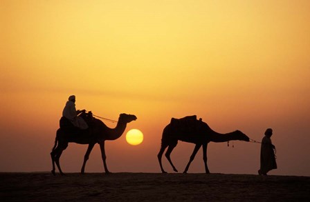 Caravan, Morocco by Panoramic Images art print