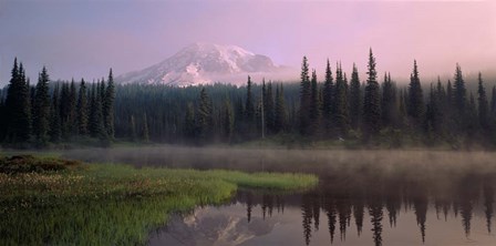 Mist over Mount Rainier National Park, Washington by Panoramic Images art print