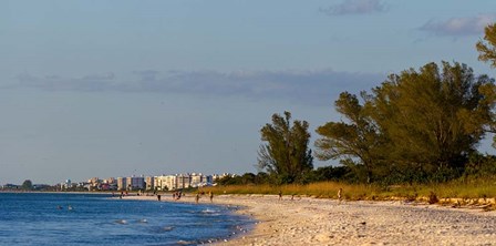 Beach, Naples, Collier County, Florida by Panoramic Images art print