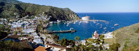 Santa Catalina Island, CA by Panoramic Images art print