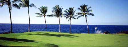 Golf Course, Big Island HI by Panoramic Images art print