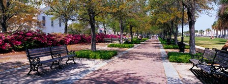 Waterfront Park in Charleston, SC by Panoramic Images art print