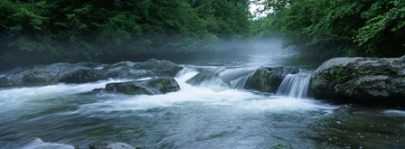 Great Smoky Mountains National Park by Panoramic Images art print