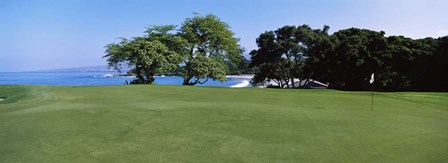 Trees on a Golf Course, Manua Kea, Hawaii by Panoramic Images art print