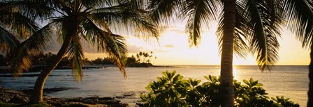 Kohala Coast, Big Island, Hawaii by Panoramic Images art print