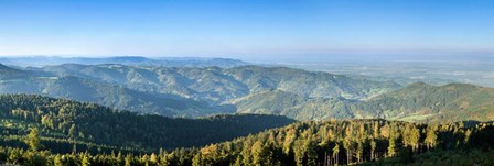Hornisgrinde Mountain, Black Forest, Baden-Wurttemberg, Germany by Panoramic Images art print