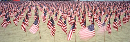 9/11 Tribute Flags, Pepperdine University, Malibu, California by Panoramic Images art print